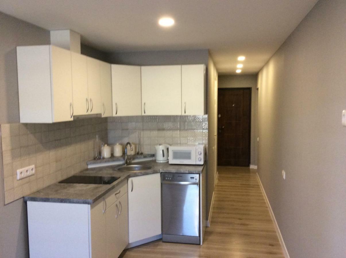 Apartamentai Rusneje , Nemuno 13 エクステリア 写真